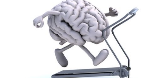 运动对衰老大脑有益，可逆转认知能力下降
