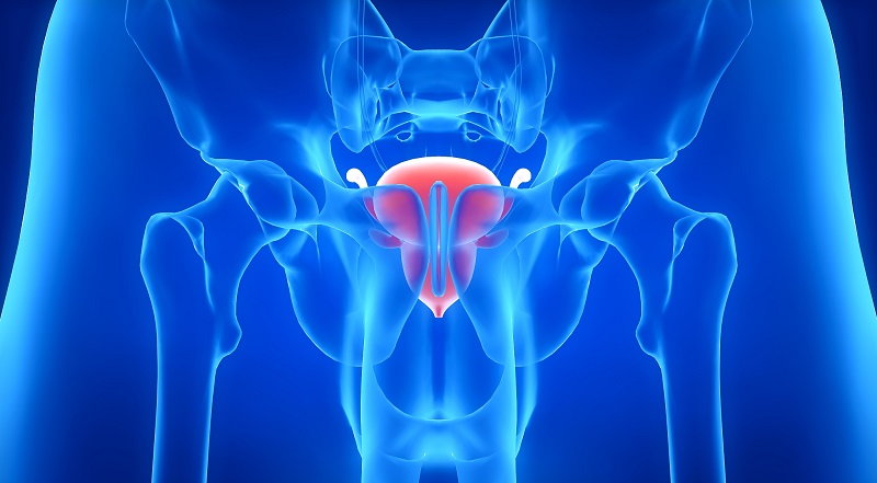 1712999011241903.jpg 20240413165331.jpg