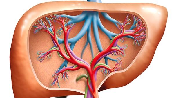 预防黑布拉痒疹吃什么药