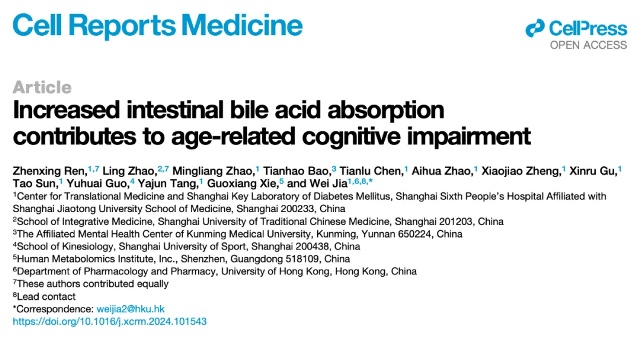 肠道胆酸吸收与年龄相关认知障碍关联性研究新突破