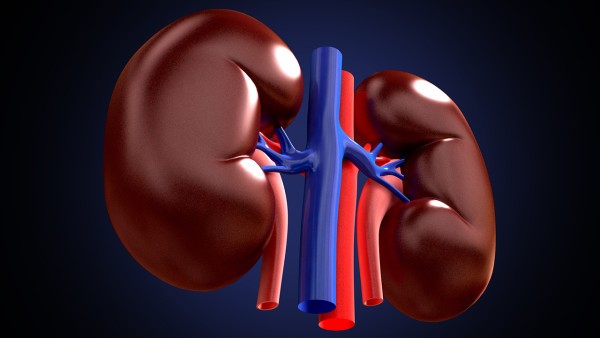 高胆固醇血症会不会传染人