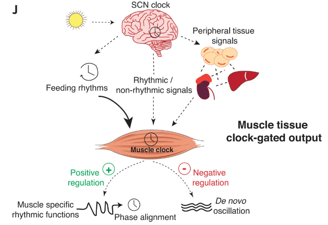 1716861487639180.png zx20240528081643569479805290.png