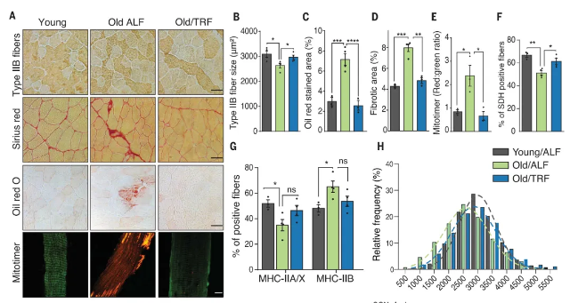 1716861512748691.png zx20240528081643635438156148.png