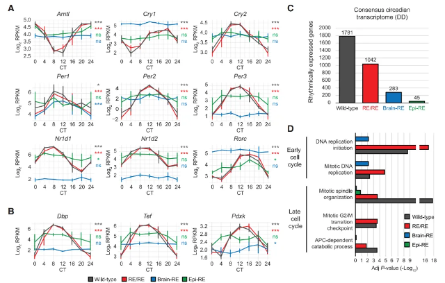 1716861542421246.png zx20240528081643746862878821.png