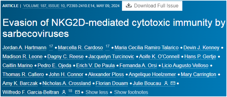 1716861691372855.png zx20240527094502024373547625.png