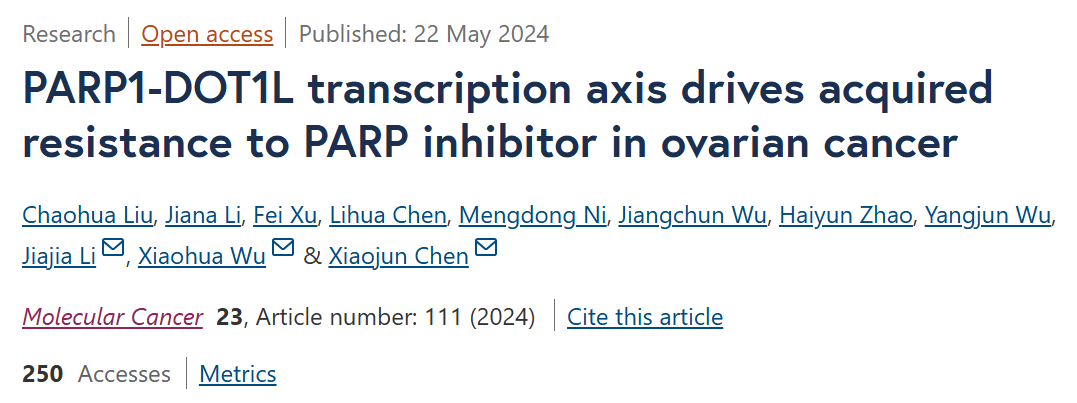 DOT1L作为卵巢癌抗PARP抑制剂耐药的新靶点
