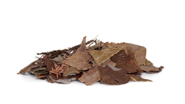 肢端肥大症的症状表现及治疗方法