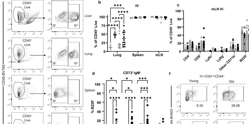 1717034289523754.png zx20240529091657867730279526.png