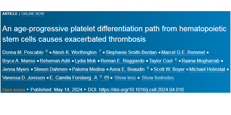 发现年龄特异性造血干细胞分化途径：揭示血栓性疾病高发的原因