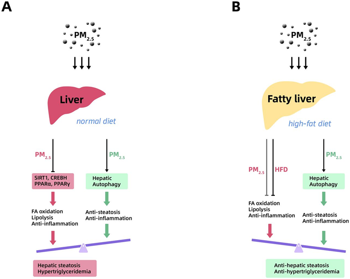 1717206340863616.png zx20240531100047521363309171.png