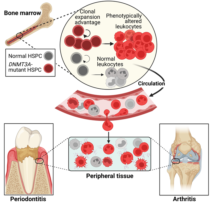 1718350752124593.png zx20240614092553135337360850.png