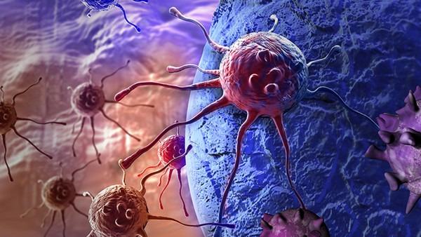 新发现！揭示风湿性关节炎巨噬细胞的血液前体