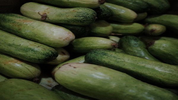 心力衰竭的治愈率有多高