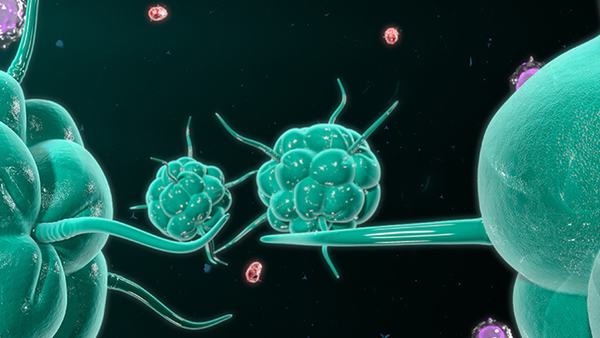 结肠癌的治愈率有多高