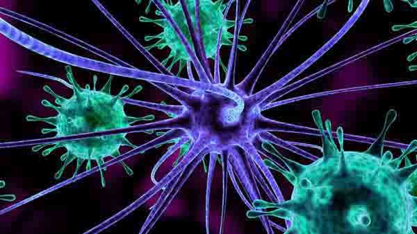 非编码 RNA 的重要作用及其在基因表达中的新发现