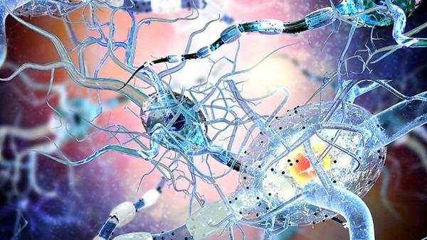 东芬兰大学研究揭示健康饮食与降低糖尿病风险的关联