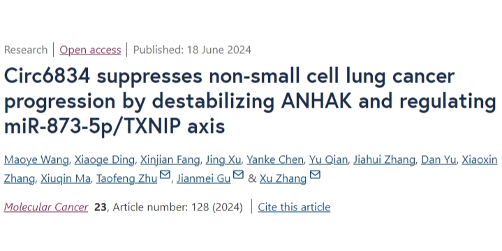 新型环状RNA circ6834 在非小细胞肺癌治疗中的潜力：调控机制与研究进展