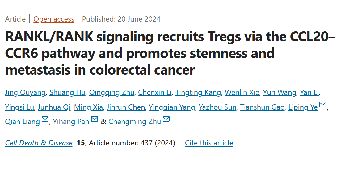 RANKL/RANK信号通路在结直肠癌进展中的作用：CCL20–CCR6途径的发现