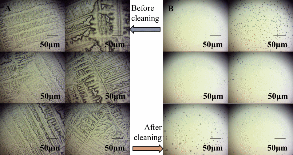 微流细胞洗涤技术结合单细胞拉曼光谱分析：快速自动化抗菌药物敏感性测试新方法
