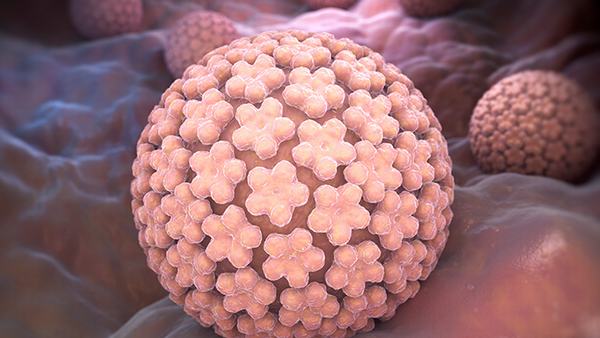 新方法识别巨噬细胞，有助于开发新疗法