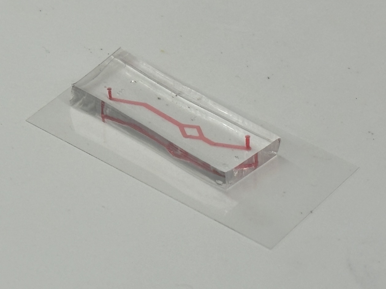 1720149820838592.jpeg zx20240705094624261324530708.jpeg