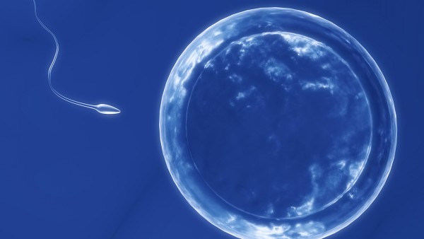 心肌梗塞患者的饮食应该如何安排