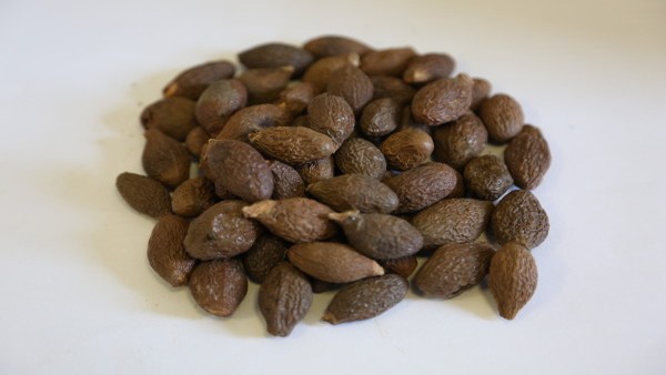 黄水疮患者适合哪些锻炼呢