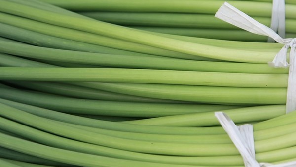 治疗心脏病吃什么药效果最好