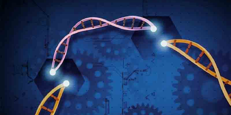 人类基因组编辑伦理指引发布