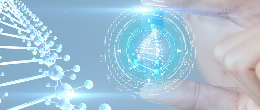 拜耳中国区架构调整：五大业务板块和六大职能部门亮相