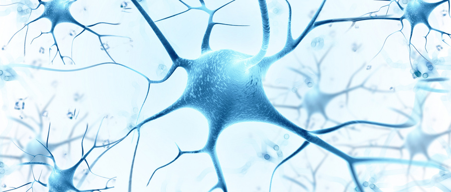 全球帕金森病患者的新希望，Brenig迈出关键一步