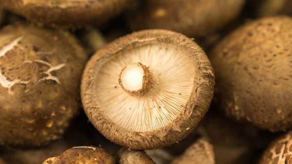 心脏搭桥术后怎么调理