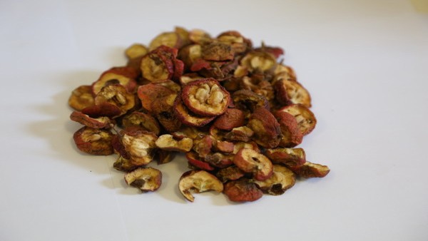 得了肾移植如何护理