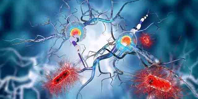 医学物理助力：中国放疗技术的突破与未来展望