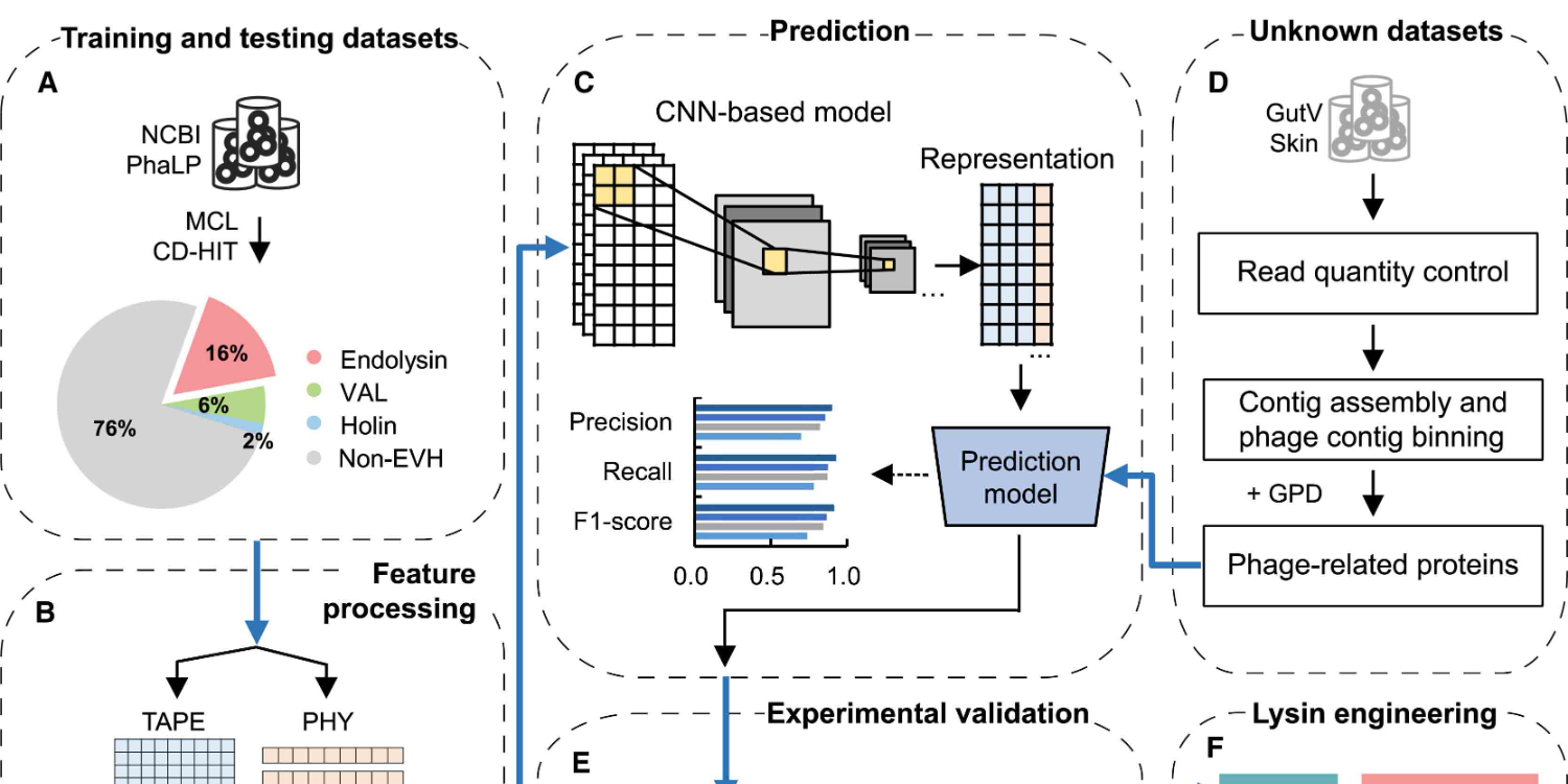 1724056143664478.png zx20240819091551403314640849.png