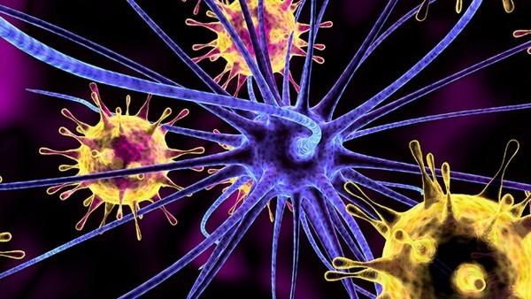 基因治疗新突破：脂质纳米颗粒与腺相关病毒在枫糖尿病治疗中的潜力