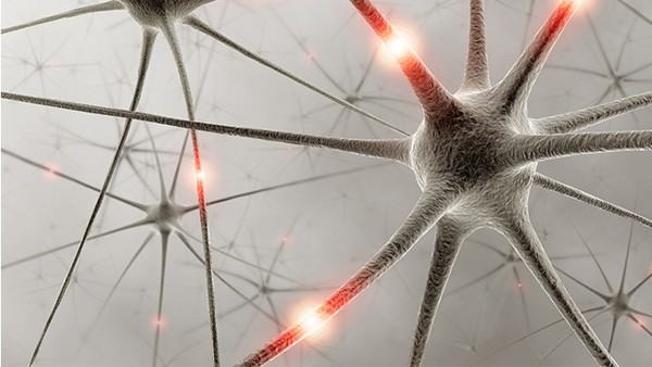 表观遗传学的新视角：基因表达调控与健康遗传的潜在革命