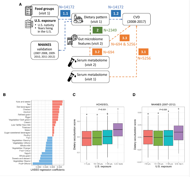 1725695494975323.png zx20240906095232385520225512.png