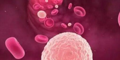 高博医疗集团与齐碳科技达成战略合作 聚焦血液病精准治疗