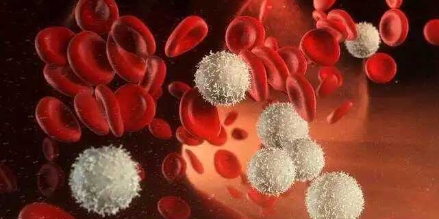 泊那替尼片在中国获批上市：第三代Bcr-Abl激酶抑制剂开启白血病治疗新篇章