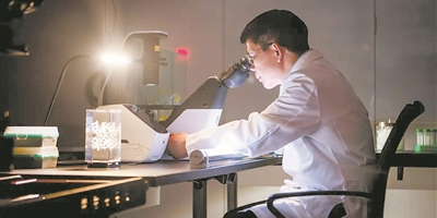 陈志坚与cGAS发现：破解DNA免疫传感的奥秘