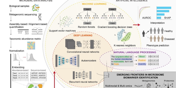 人工智能助力菌群标志物识别：疾病诊断与精准医疗的新方向