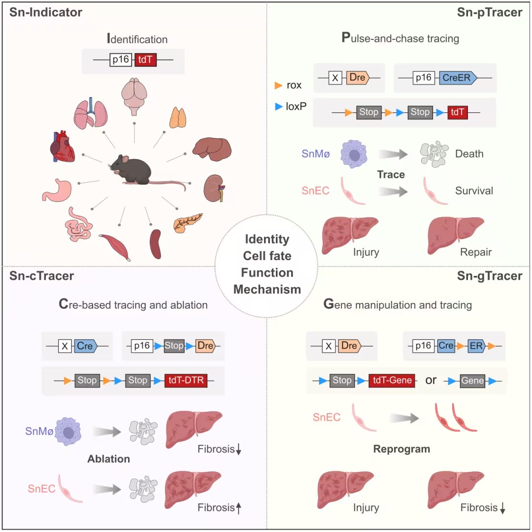 1728265284902134.jpg d770aa9137c448568fb57d2059a52784-xSYFhlI2MgGw.jpg