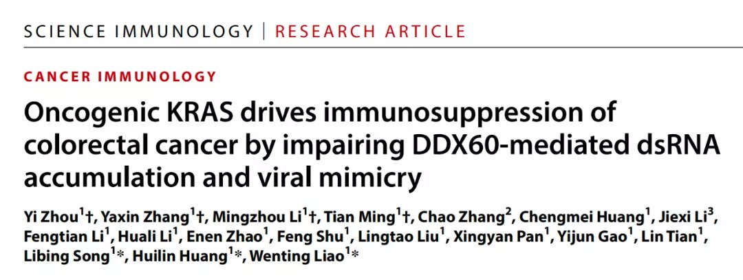 KRAS突变在结直肠癌中的免疫逃逸机制及其治疗潜力