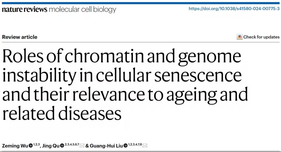 染色质与基因组不稳定性在细胞衰老中的作用及其相关疾病的研究进展