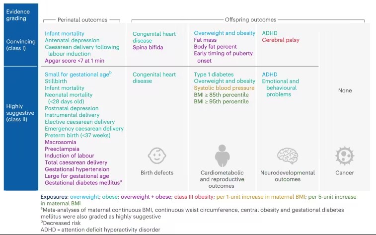 1729047213111854.jpg baced5e0cfd746569b1b2043da3d2a33-Fp6fZRE1KEz3.jpg