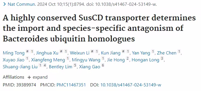 脆弱拟杆菌泛素同源物的拮抗机制与应用前景