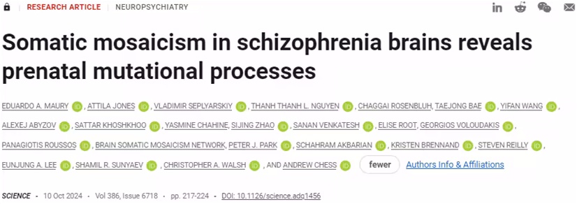 精神分裂症中的体细胞突变研究新发现