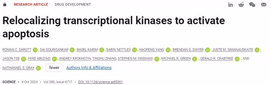 利用细胞凋亡逆转癌细胞：斯坦福团队新策略打开肿瘤自毁开关