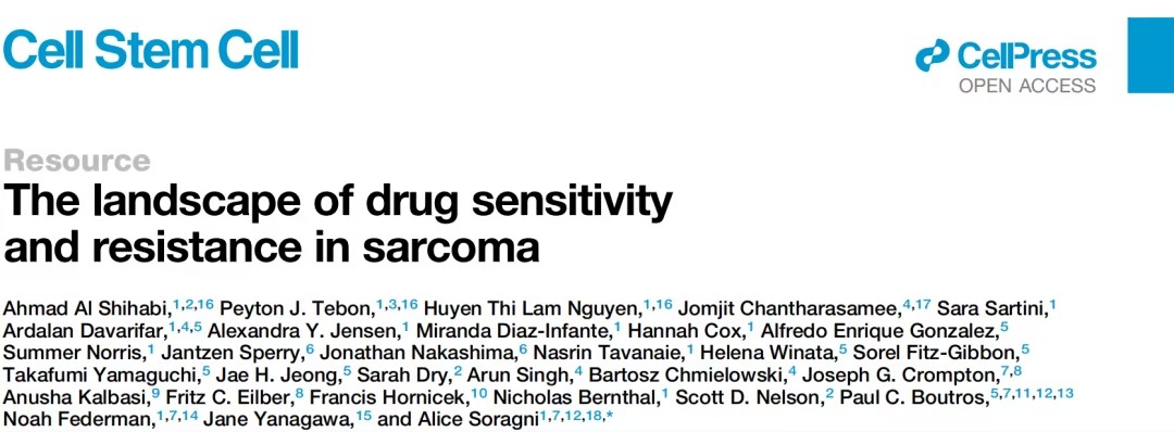 肉瘤的药物敏感性与耐药性：基于患者来源肿瘤类器官的研究